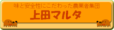 ƈSɂ_ƎҏWc@c}^